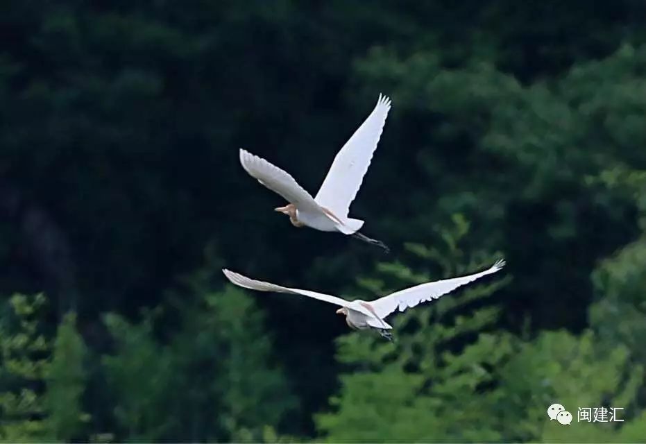 建筑報名系統_建筑考證網站_建筑八大員報名網站