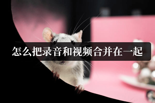 視頻剪輯起名字怎么起_視頻剪輯起個網名_如何把多個視頻剪輯在一起