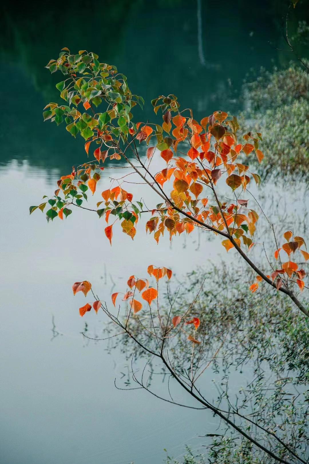 抖音運營上鏈接_抖音運營上架流程_抖音上怎么運營
